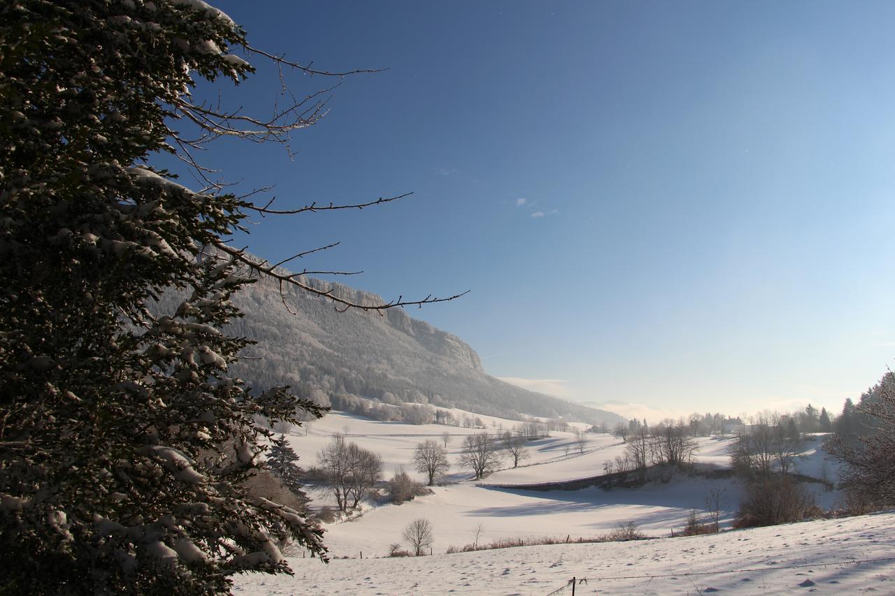 Cafe Brochier Hotel Saint-Julien-en-Vercors Dış mekan fotoğraf